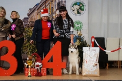 Mikołajkowa Wystawa Luki Wielogóra- Radom 8.12.2024